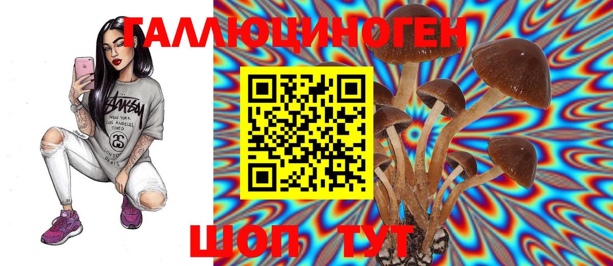 Псилоцибиновые грибы Magic Shrooms Верхняя Пышма