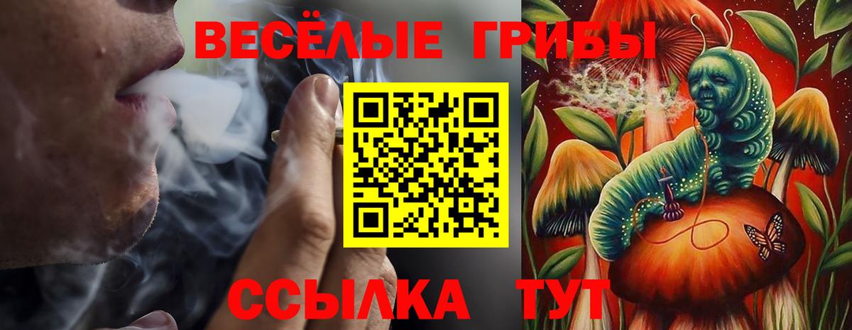 Верхняя Пышма  Галлюциногенные грибы Psilocybe  Вход с VPN 